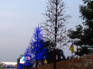 Christmas lights on plastic trees . . . in September