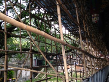 Scaffolding