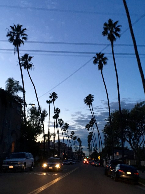 Driving to Long Beach